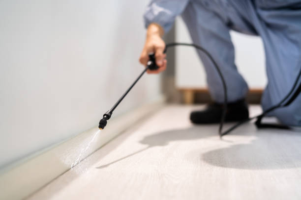Licensed Exterminator service in Pretty Bayou, FL - Show Me Pest Control