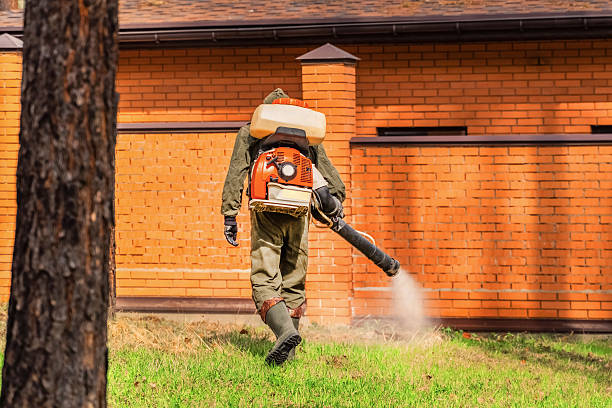 Bed Bug Clearance Verification and Documentation in Pretty Bayou